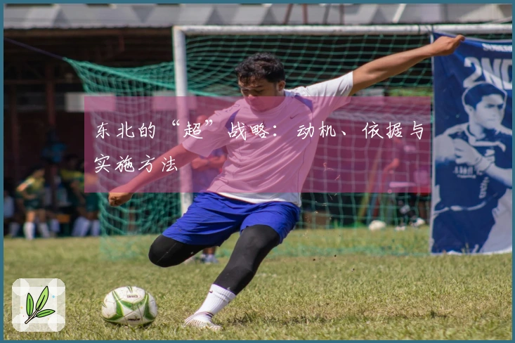 东北的“超”战略：动机、依据与实施方法