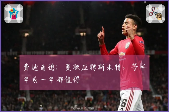 费迪南德：曼联应聘斯米特，等半年或一年都值得