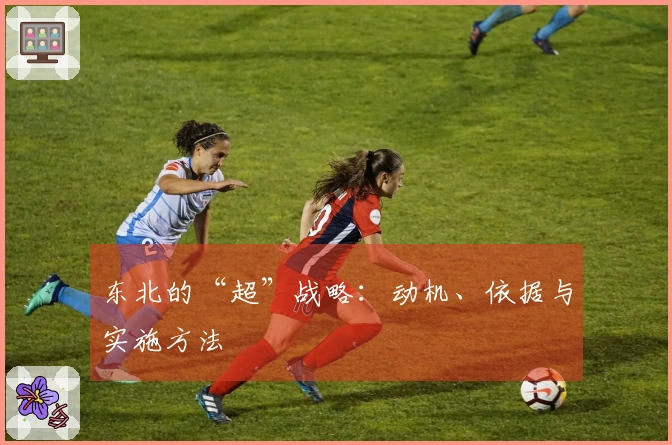 东北的“超”战略：动机、依据与实施方法