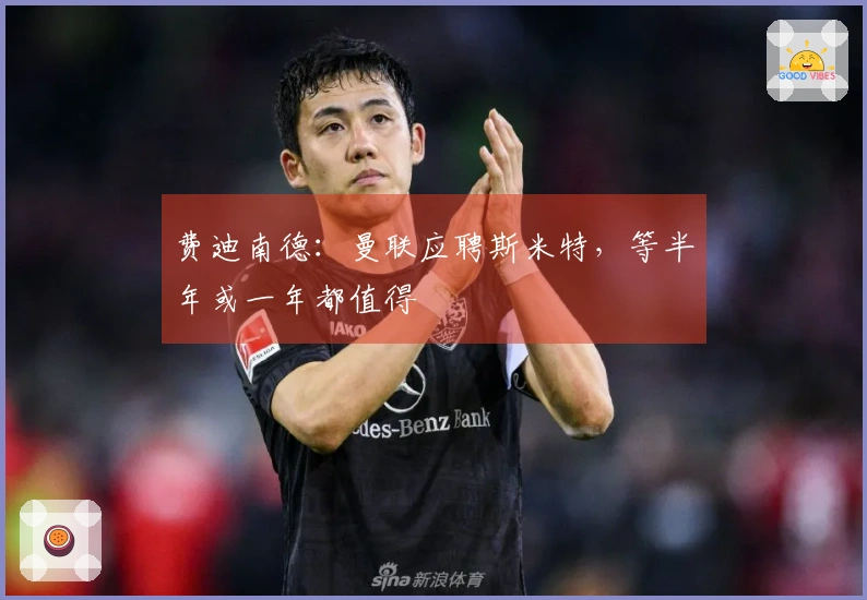 费迪南德：曼联应聘斯米特，等半年或一年都值得