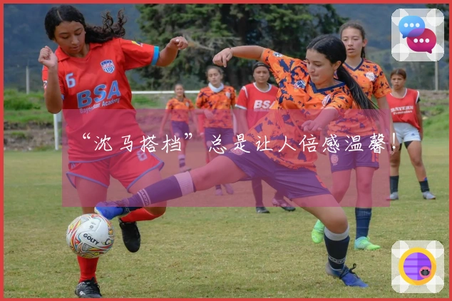 “沈马搭档”总是让人倍感温馨！